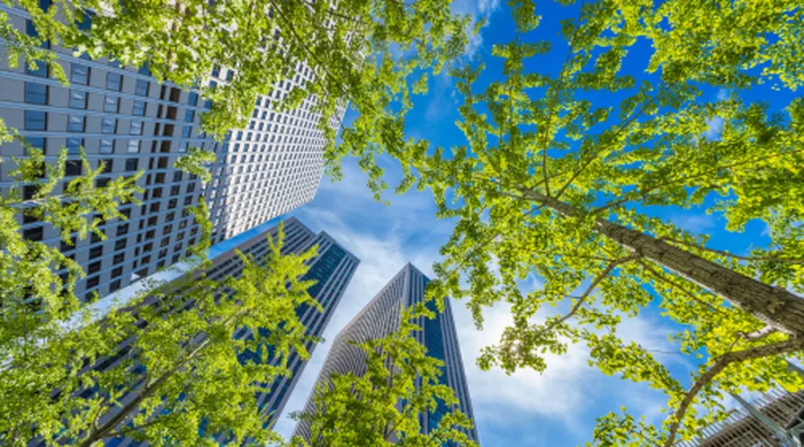 Sustainable city architecture green
